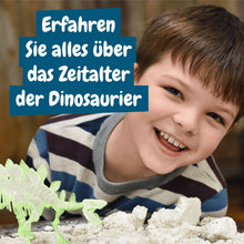 Fossilienausgrabungen leuchten im Dunkeln - Stegosaurus