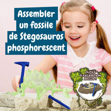 Les fouilles fossiles brillent dans l'obscurité - Stegosaurus