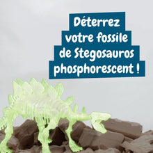Les fouilles fossiles brillent dans l'obscurité - Stegosaurus