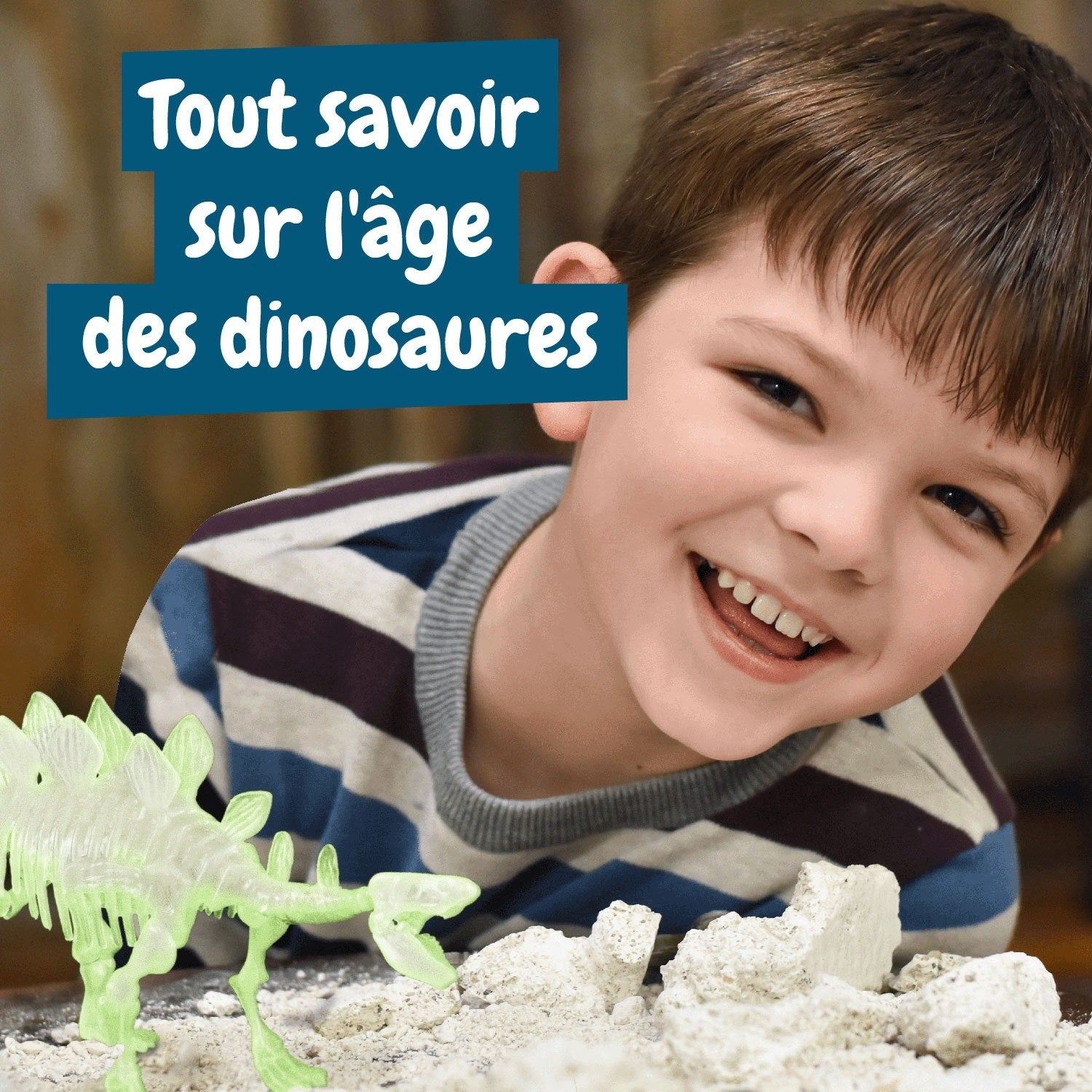Les fouilles fossiles brillent dans l'obscurité - Stegosaurus