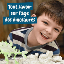 Les fouilles fossiles brillent dans l'obscurité - Stegosaurus