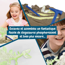 Les fouilles fossiles brillent dans l'obscurité - Stegosaurus