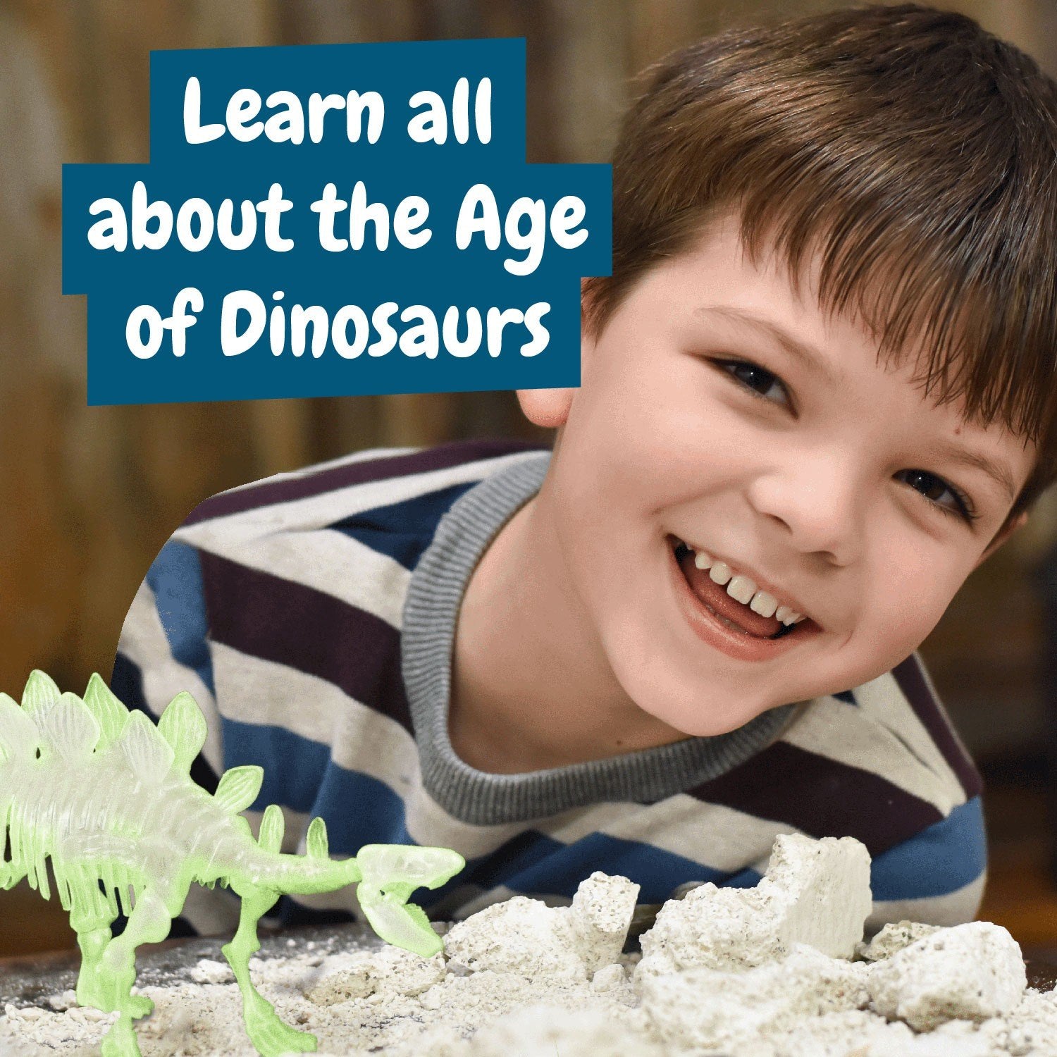 Fossil Excavations Glow in the Dark - Stegosaurus
