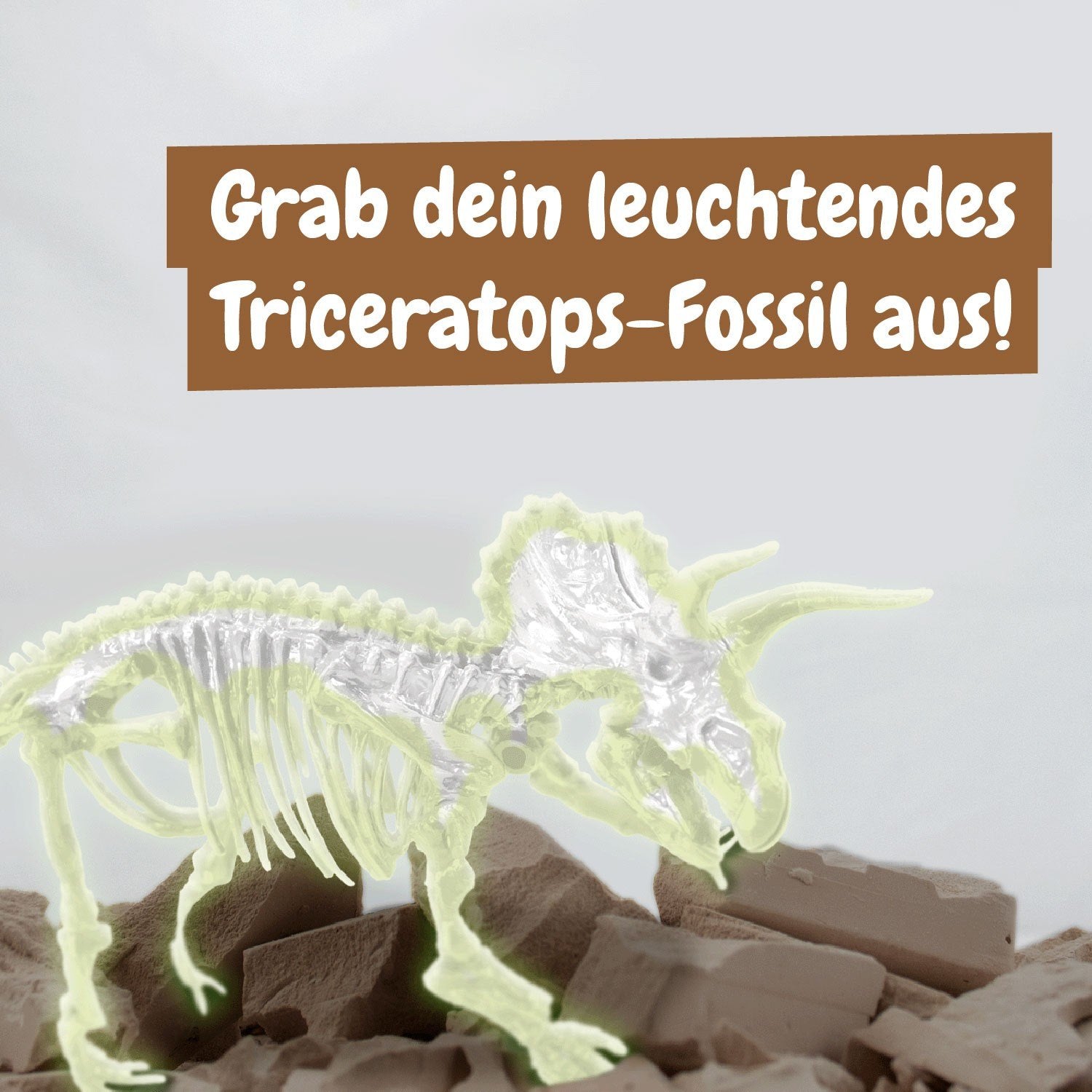 Fossilienausgrabungen leuchten im Dunkeln - Triceratops
