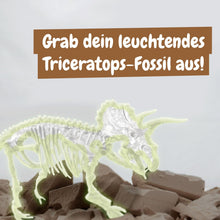Fossilienausgrabungen leuchten im Dunkeln - Triceratops