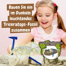 Fossilienausgrabungen leuchten im Dunkeln - Triceratops