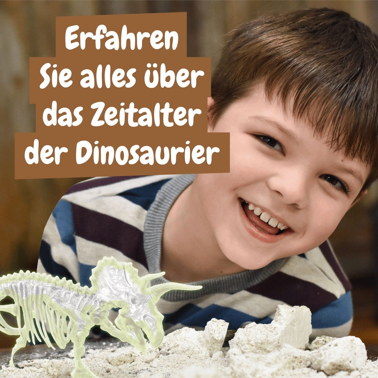 Fossilienausgrabungen leuchten im Dunkeln - Triceratops