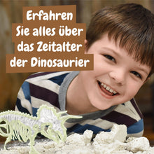 Fossilienausgrabungen leuchten im Dunkeln - Triceratops