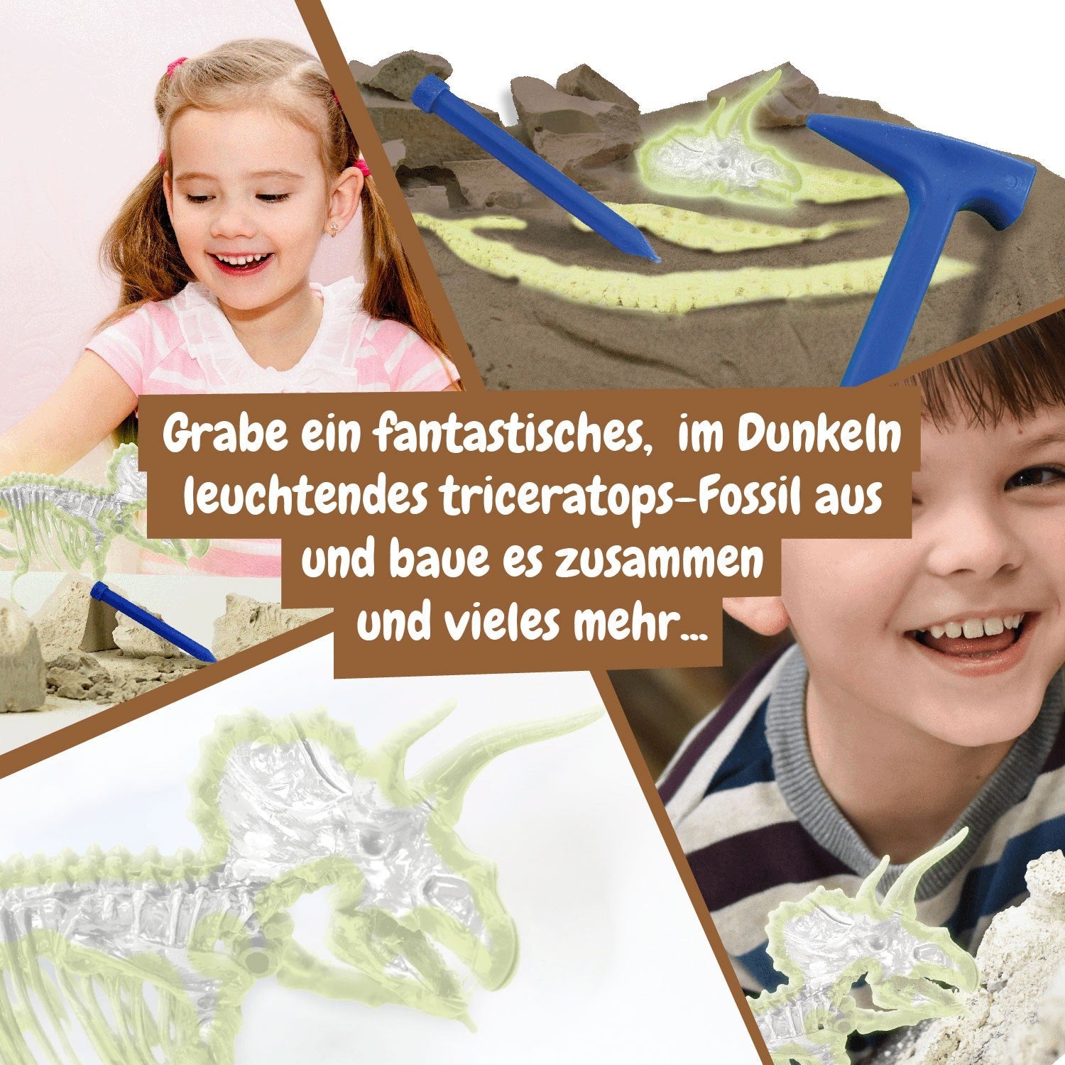 Fossilienausgrabungen leuchten im Dunkeln - Triceratops