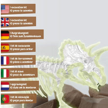 Les fouilles fossiles brillent dans l'obscurité - Triceratops