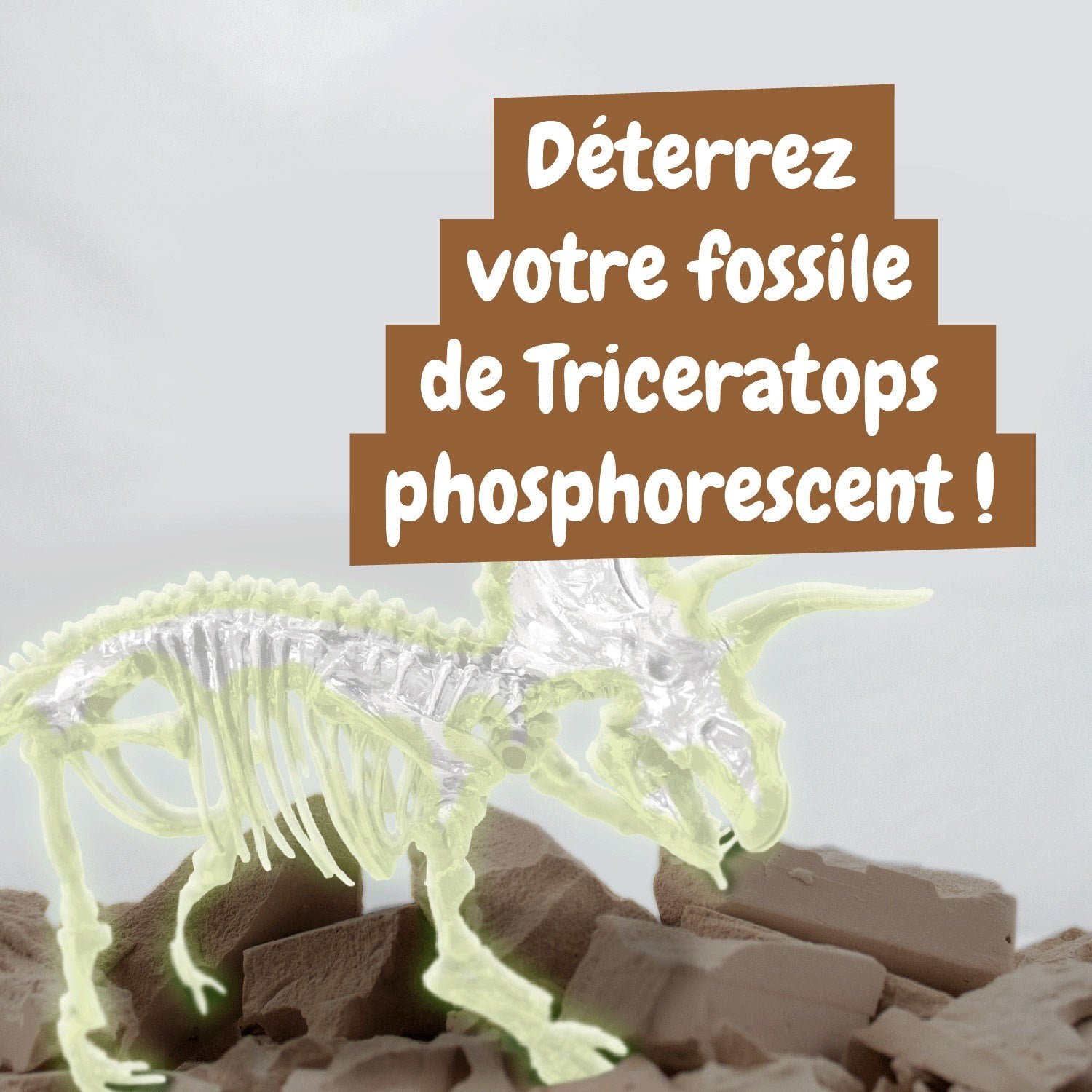 Les fouilles fossiles brillent dans l'obscurité - Triceratops
