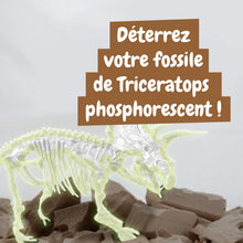 Les fouilles fossiles brillent dans l'obscurité - Triceratops