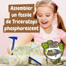 Les fouilles fossiles brillent dans l'obscurité - Triceratops