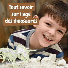 Les fouilles fossiles brillent dans l'obscurité - Triceratops