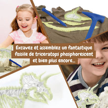 Les fouilles fossiles brillent dans l'obscurité - Triceratops
