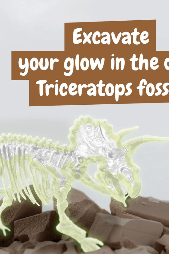 Fossil Excavations Glow in the Dark - Triceratops