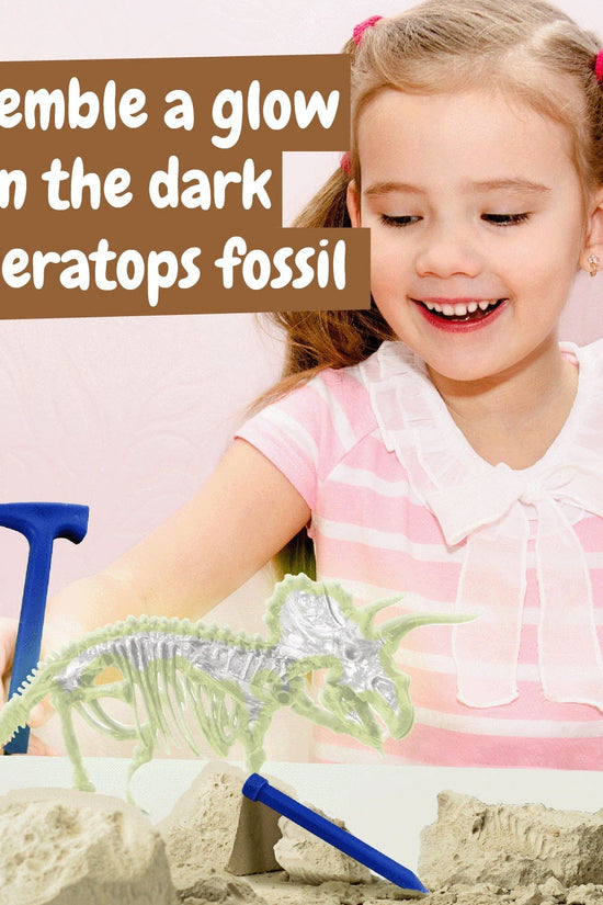 Fossil Excavations Glow in the Dark - Triceratops