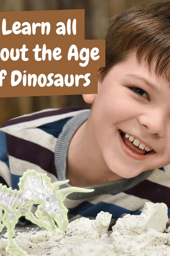 Fossil Excavations Glow in the Dark - Triceratops
