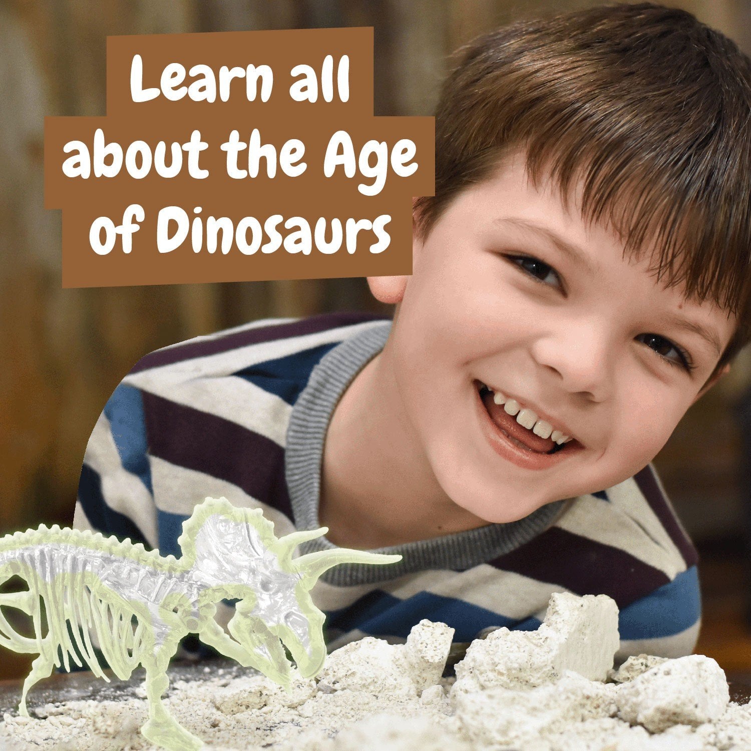 Fossil Excavations Glow in the Dark - Triceratops
