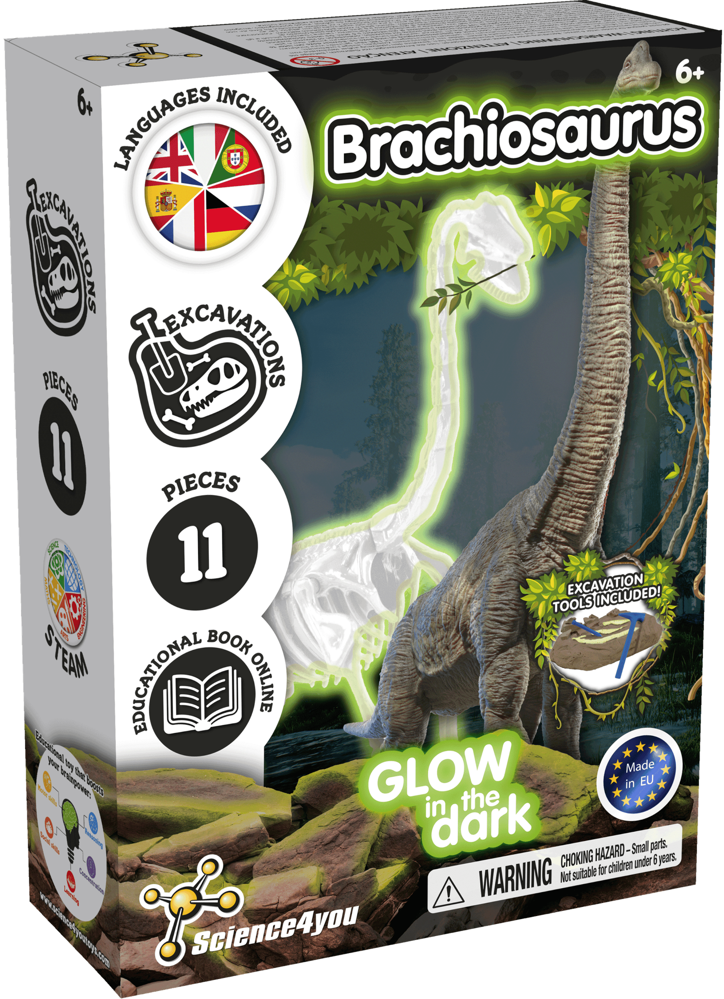 Fossilienausgrabungen leuchten im Dunkeln - Brachiosaurus