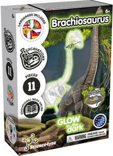 Fossilienausgrabungen leuchten im Dunkeln - Brachiosaurus
