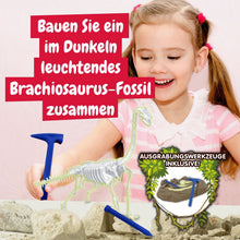 Fossilienausgrabungen leuchten im Dunkeln - Brachiosaurus