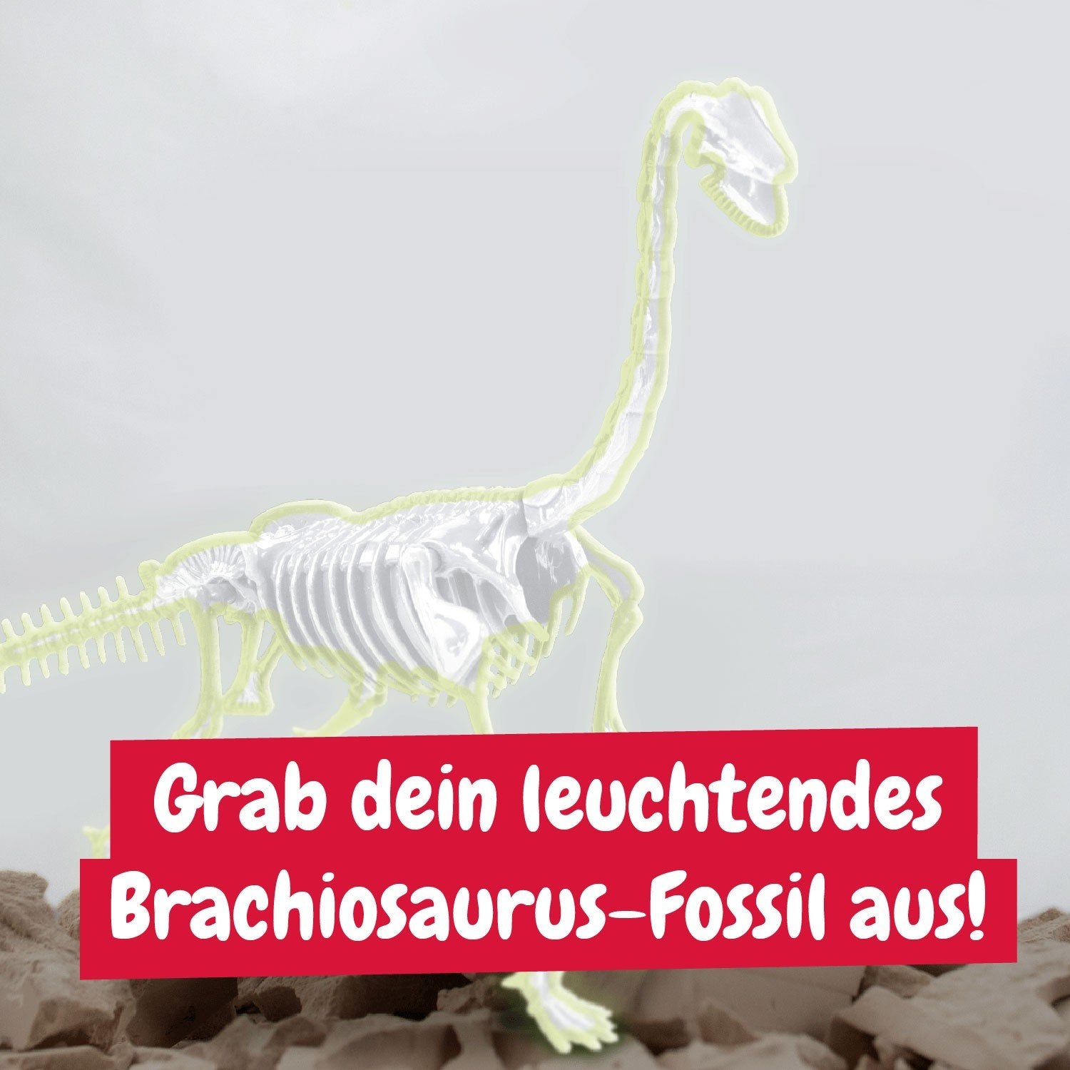 Fossilienausgrabungen leuchten im Dunkeln - Brachiosaurus