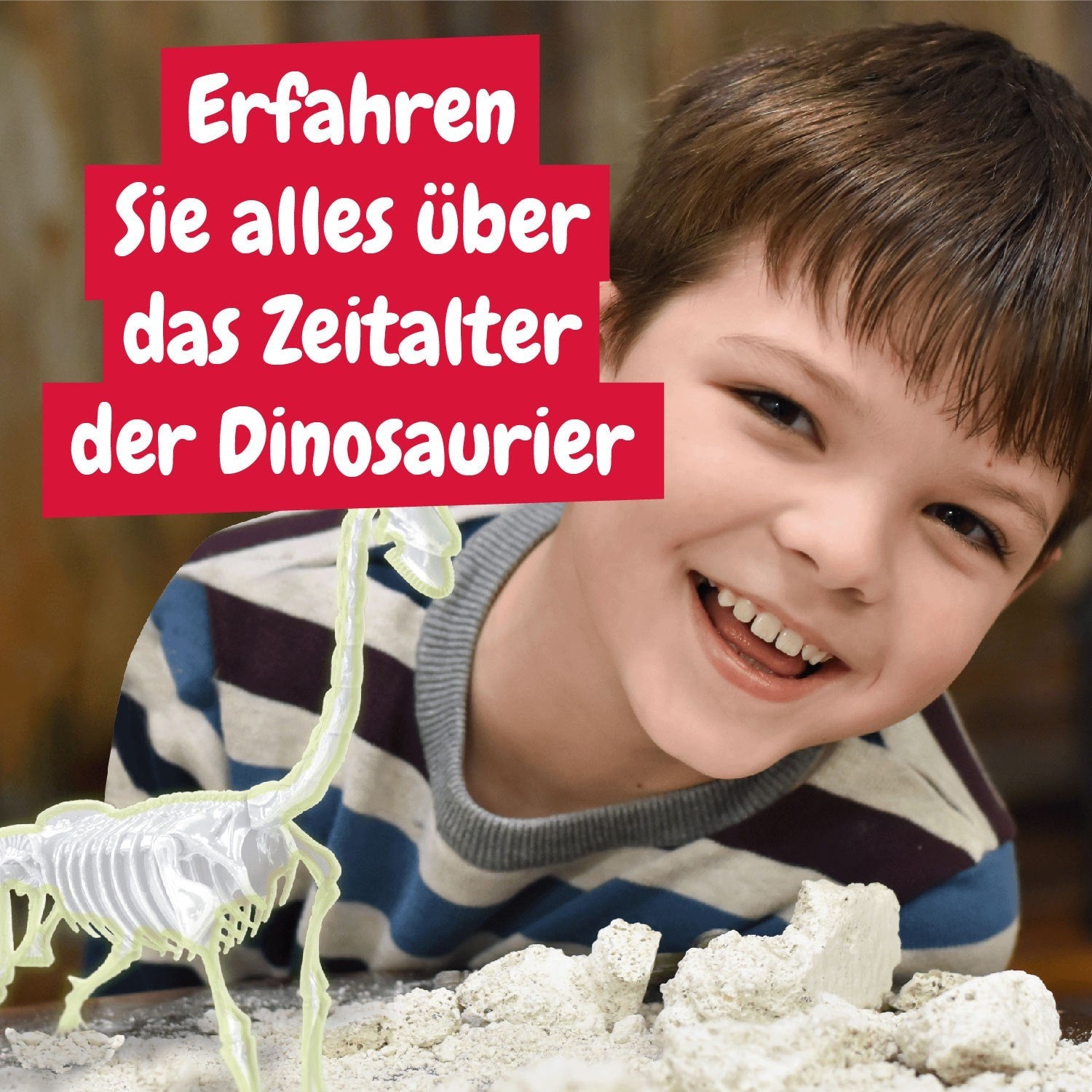 Fossilienausgrabungen leuchten im Dunkeln - Brachiosaurus
