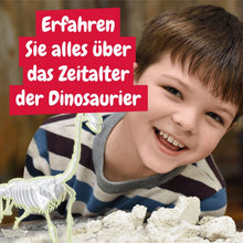 Fossilienausgrabungen leuchten im Dunkeln - Brachiosaurus