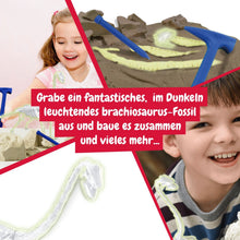 Fossilienausgrabungen leuchten im Dunkeln - Brachiosaurus