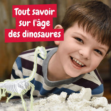 Les fouilles de fossiles brillent dans l'obscurité - Brachiosaurus