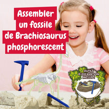Les fouilles de fossiles brillent dans l'obscurité - Brachiosaurus