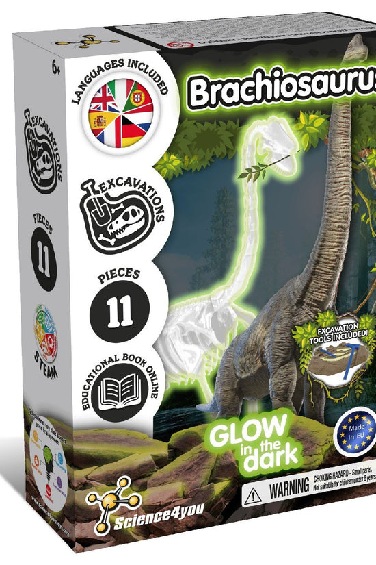 Glow-in-the-dark Fossil Excavations - Brachiosaurus