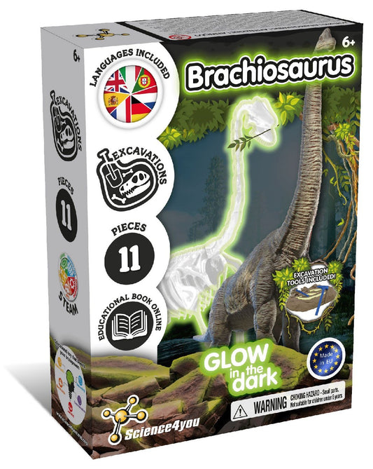 Glow-in-the-dark Fossil Excavations - Brachiosaurus