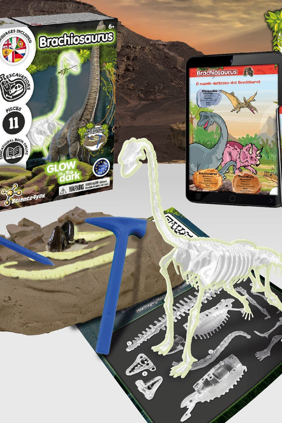 Glow-in-the-dark Fossil Excavations - Brachiosaurus