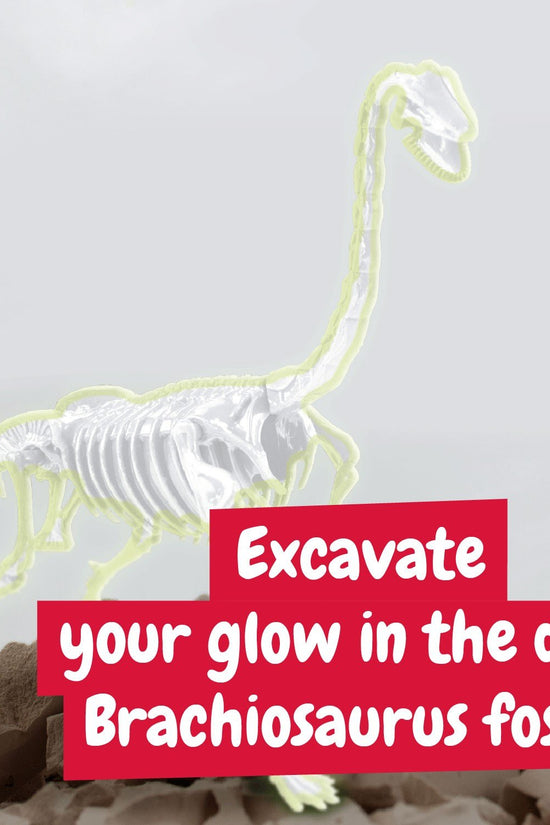 Glow-in-the-dark Fossil Excavations - Brachiosaurus