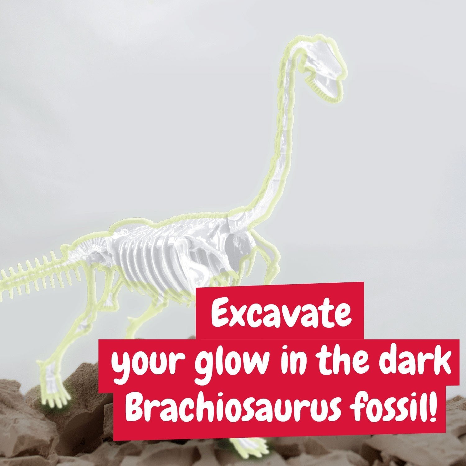Glow-in-the-dark Fossil Excavations - Brachiosaurus