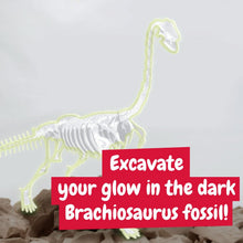 Glow-in-the-dark Fossil Excavations - Brachiosaurus