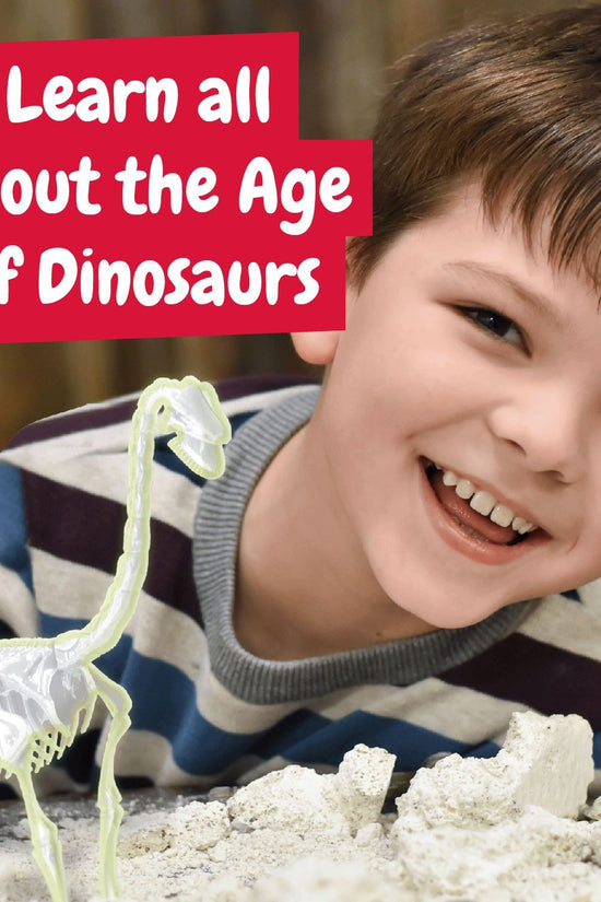 Glow-in-the-dark Fossil Excavations - Brachiosaurus