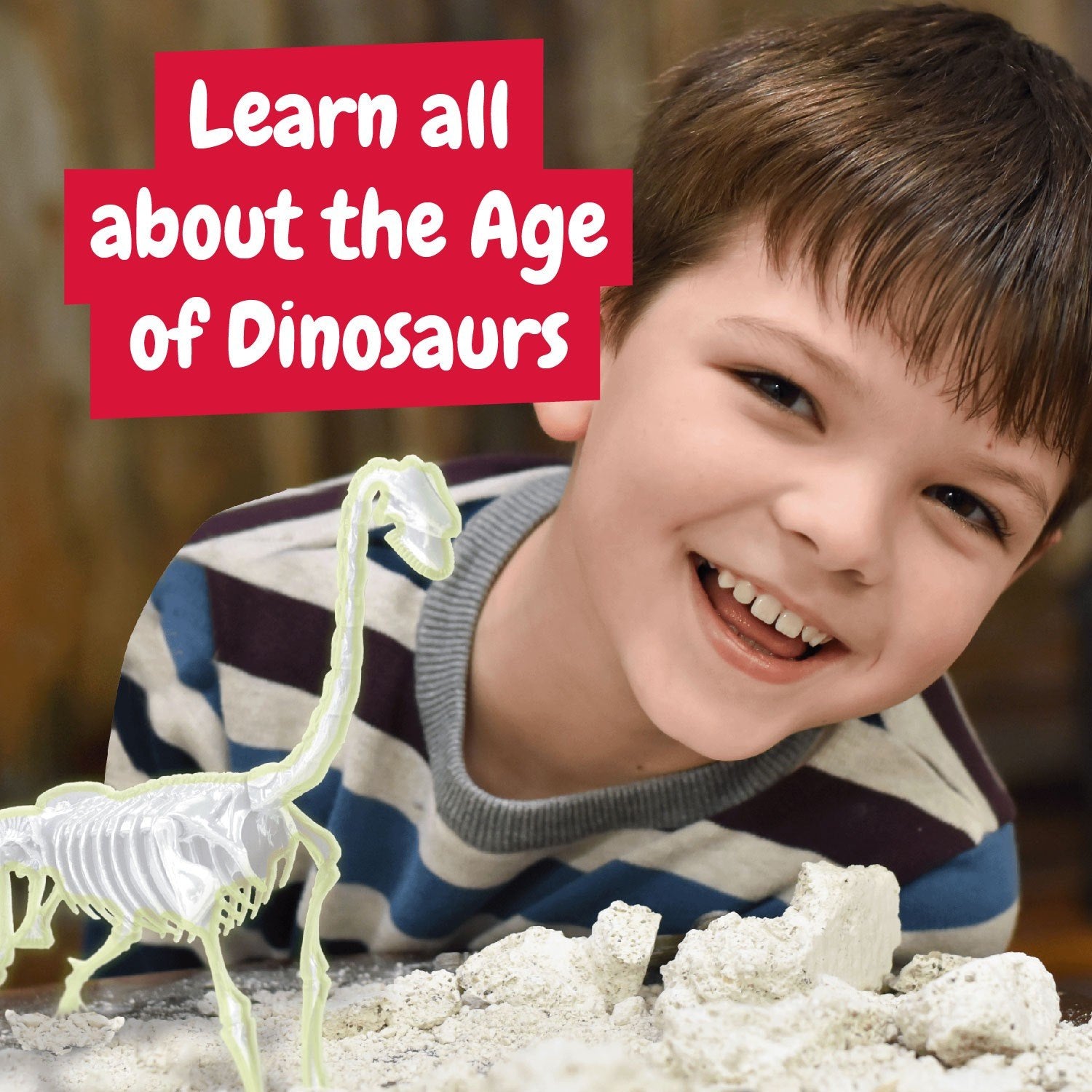 Glow-in-the-dark Fossil Excavations - Brachiosaurus