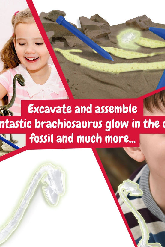 Glow-in-the-dark Fossil Excavations - Brachiosaurus