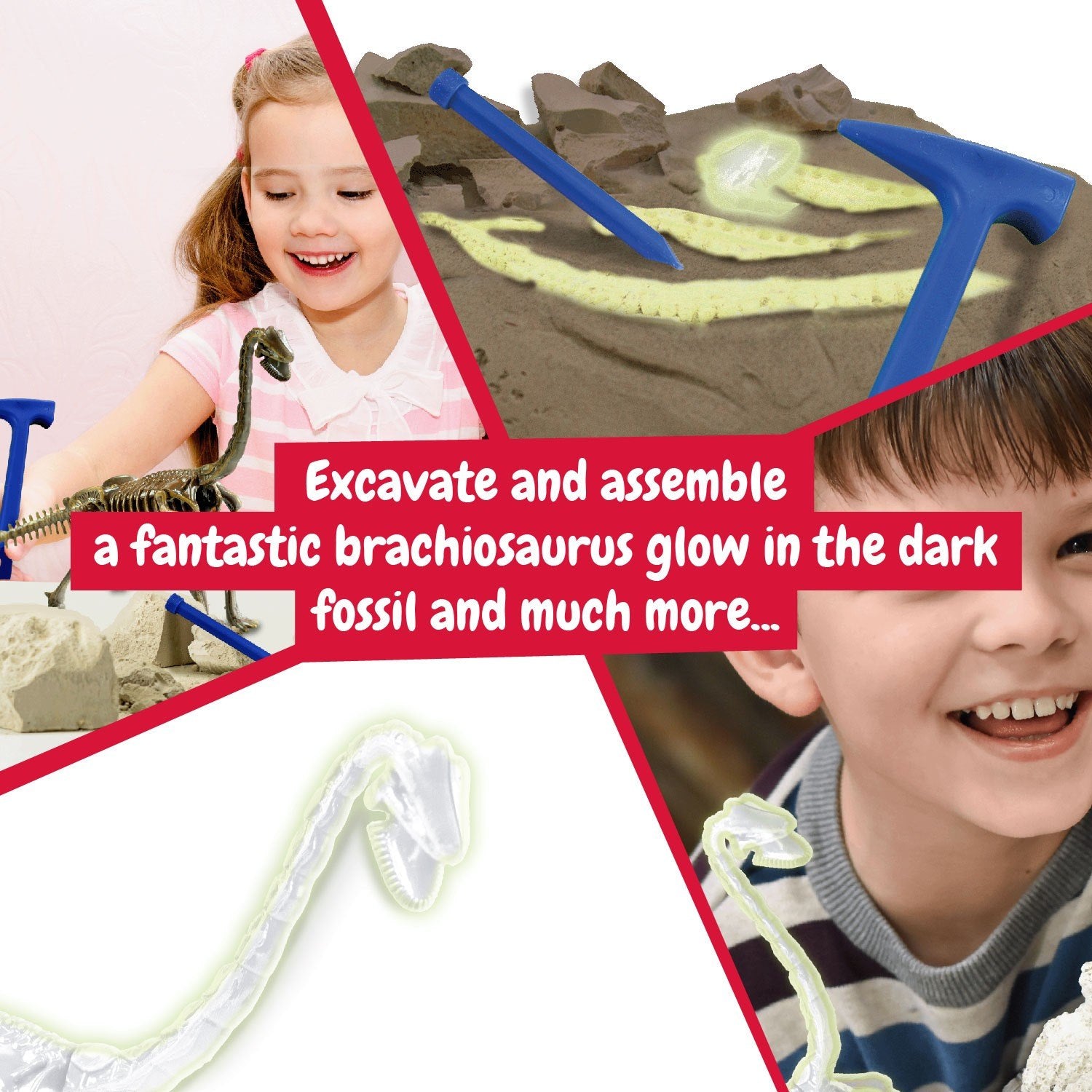 Glow-in-the-dark Fossil Excavations - Brachiosaurus
