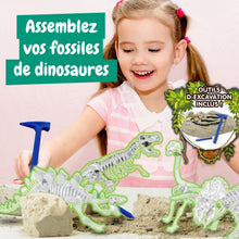 Excavations de fossiles 4 en 1 GID