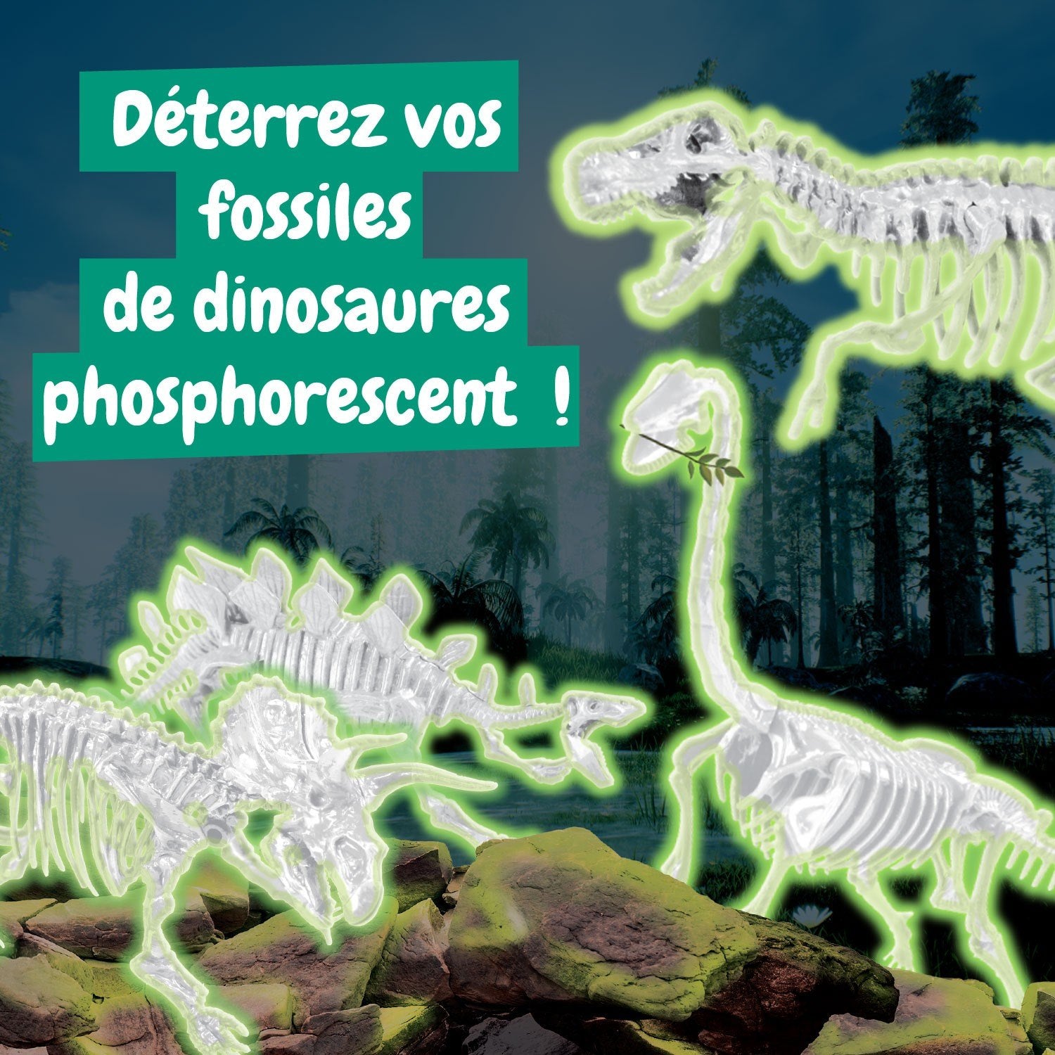 Excavations de fossiles 4 en 1 GID