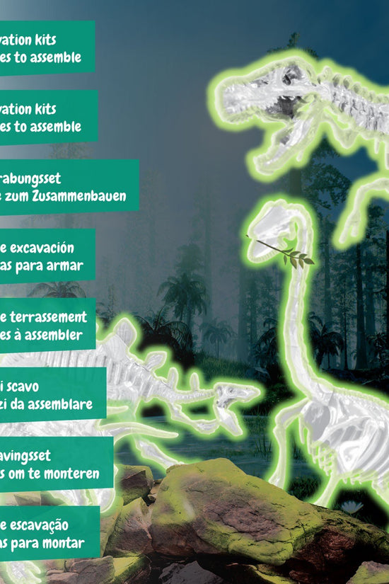 4-in-1 Fossil Excavations - Glow in the Dark