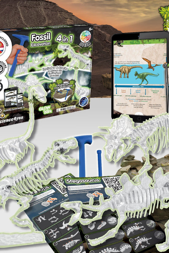 4-in-1 Fossil Excavations - Glow in the Dark