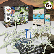 4-in-1 Fossil Excavations - Glow in the Dark