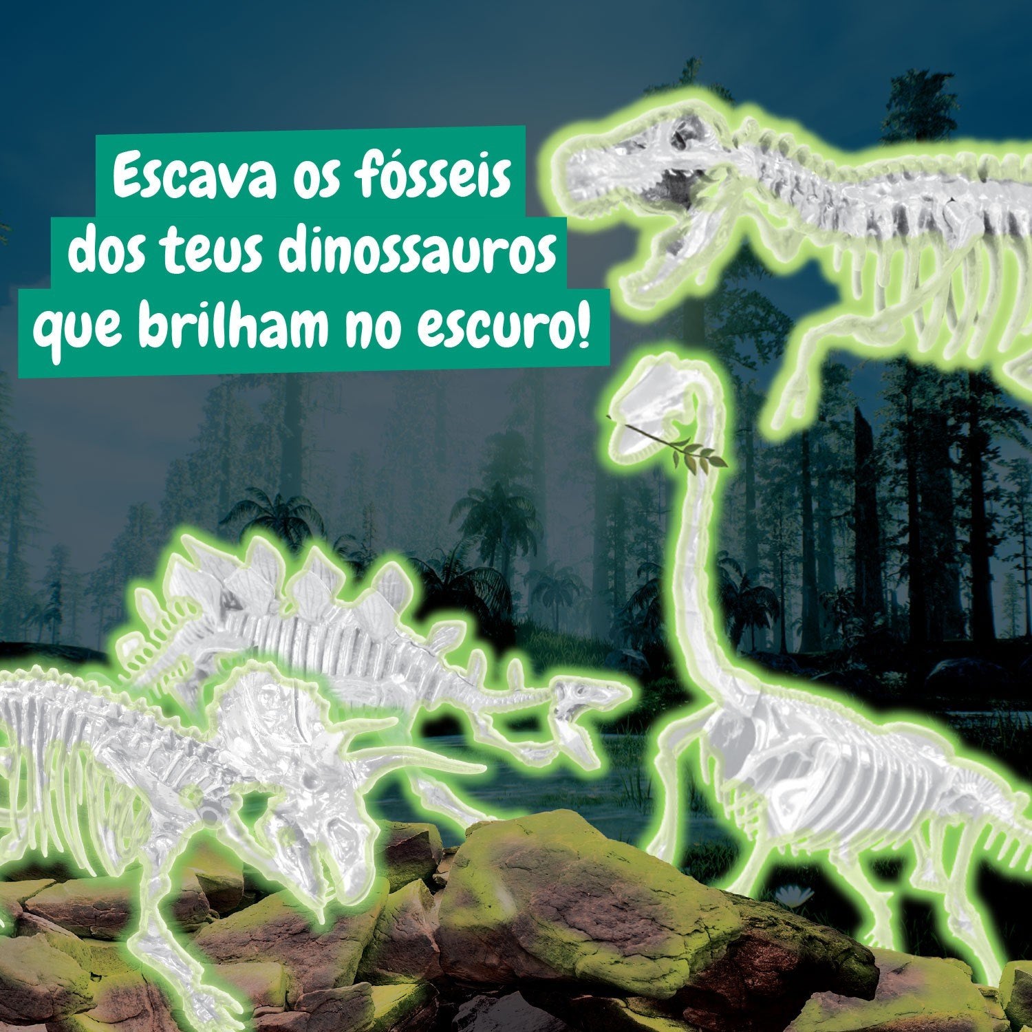 4-in-1 Fossil Excavations - Glow in the Dark