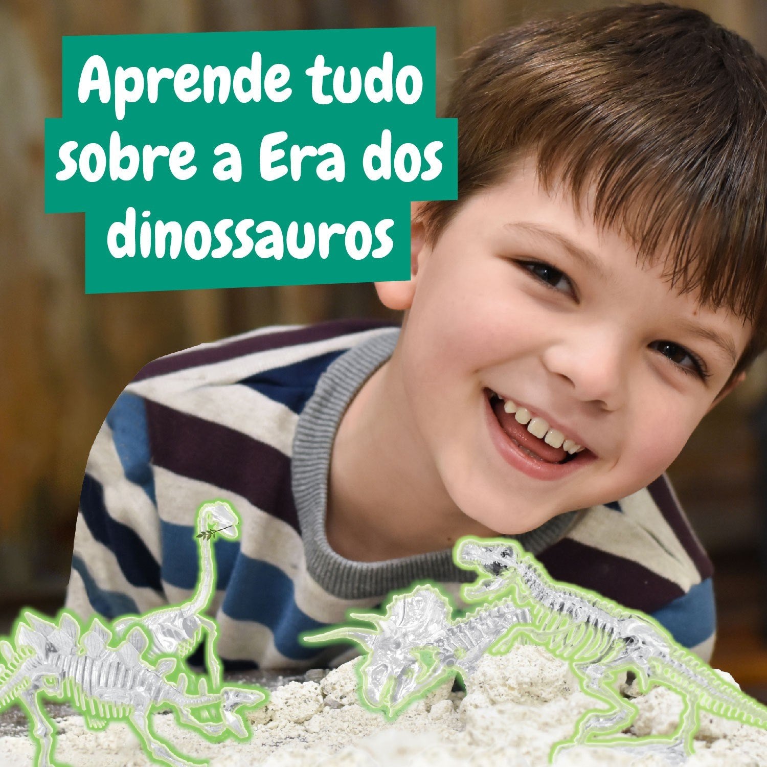4-in-1 Fossil Excavations - Glow in the Dark