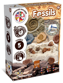 Escavações Fósseis Versão Multilingue